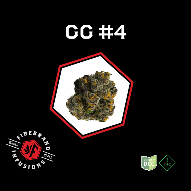 GG #4 Firebrand