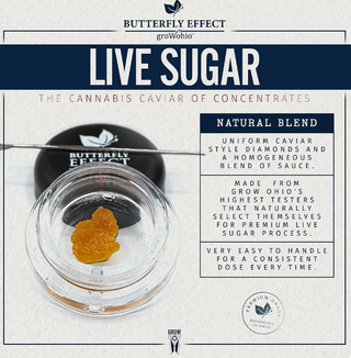 Black Jack Butterfly Effect
