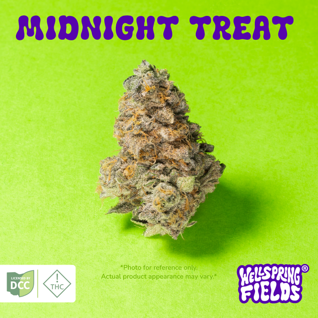 Midnight Treat Wellspring Fields
