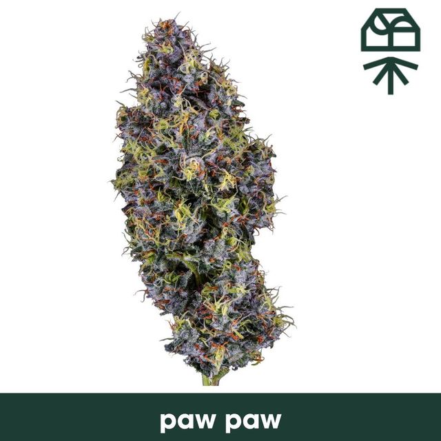 PawPaw Grassroots
