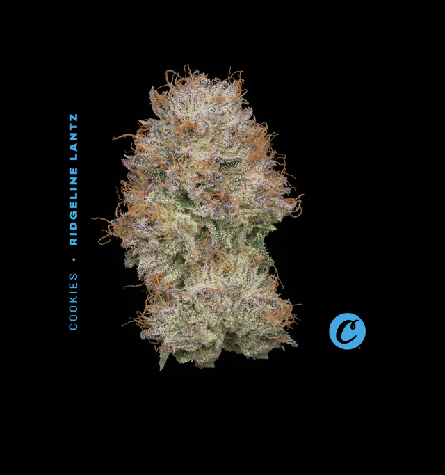 Ridgeline Lantz Cookies