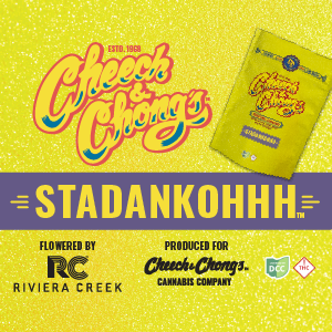 Stadankohhh Cheech & Chong's