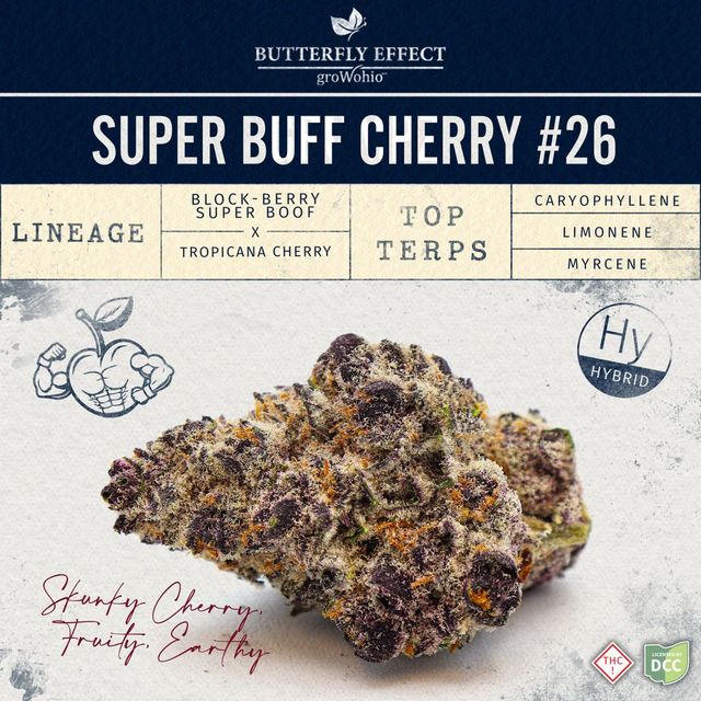 Super Buff Cherry #26 Butterfly Effect