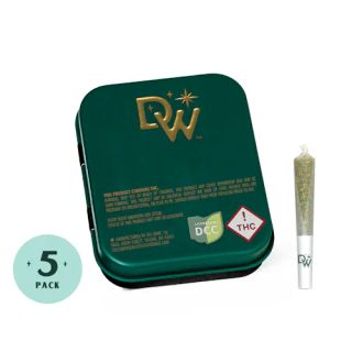 Brownie Scout DW