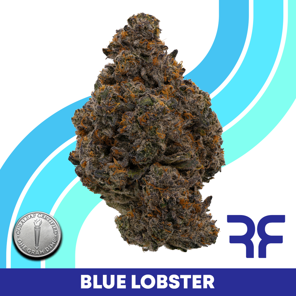 Blue Lobster