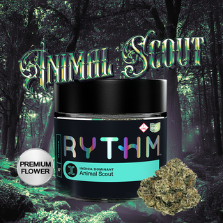 Animal Scout RYTHM