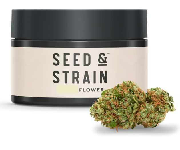 Toro Rojo Seed & Strain