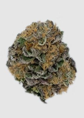 GMO Pure Dakota