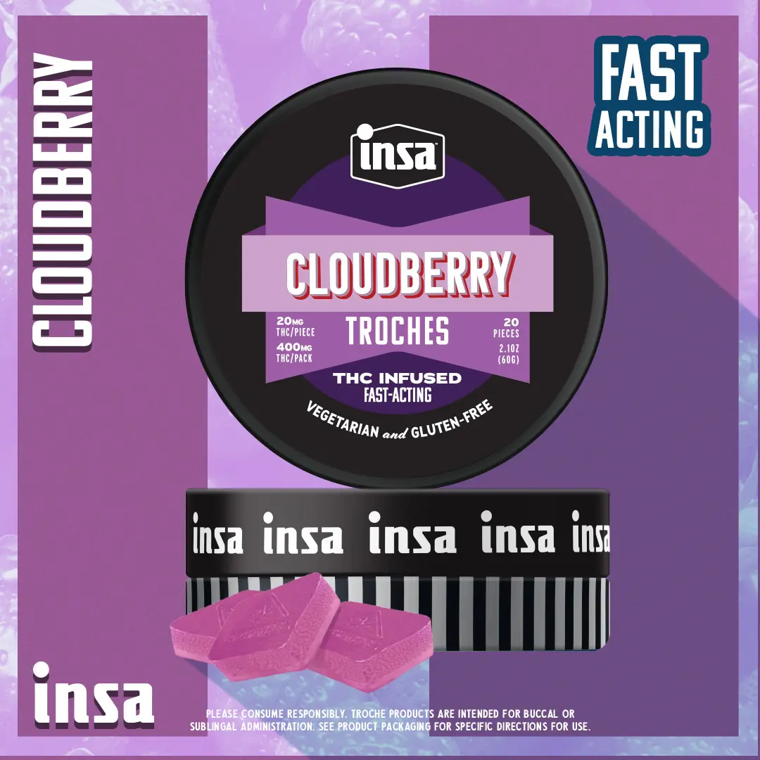 Cloud Berry INSA