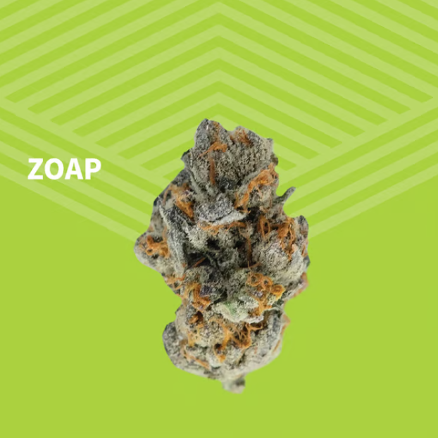 Zoap Pure Dakota