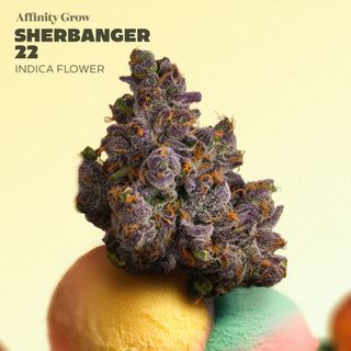 Sherbanger 22 Affinity Grow