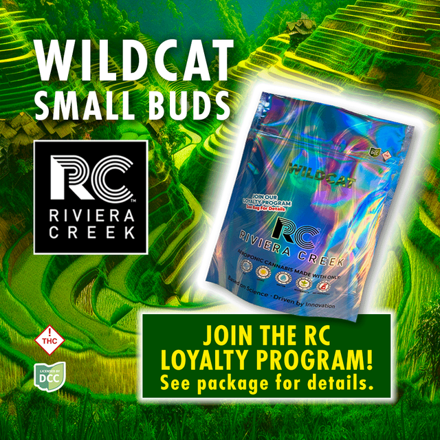 Wild Cat Riviera Creek