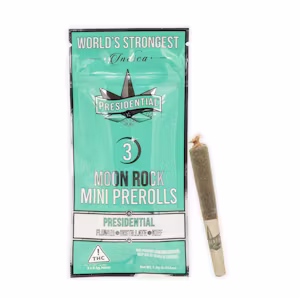XJ-13 Presidential