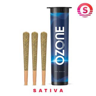 Cannabis Promo, Cannabis Sales, Cannabis Discounts, Cannabis on Sale, Last Chance 50% OFF 1