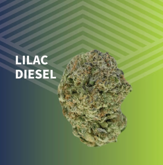 Lilac Diesel Pure Dakota
