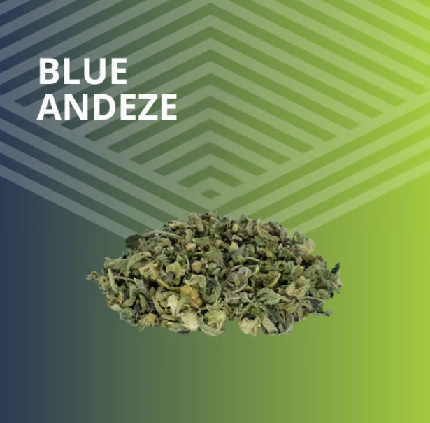 Blue Andeze Pure Dakota