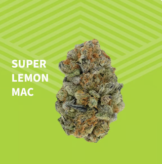 Super Lemon MAC Pure Dakota