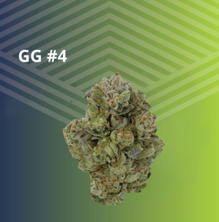 GG #4 Pure Dakota