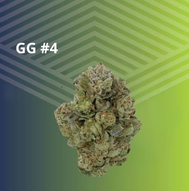 GG #4 Pure Dakota