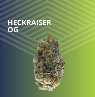 Heckraiser OG Pure Dakota