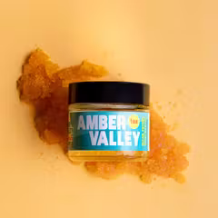 Gorilla Z Amber Valley