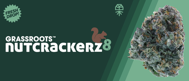 Cannabis Promo, Cannabis Sales, Cannabis Discounts, Cannabis on Sale, Launch: Grassroots Nutcrackerz 8