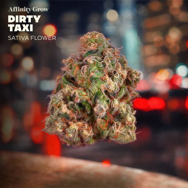Dirty Taxi Affinity Grow