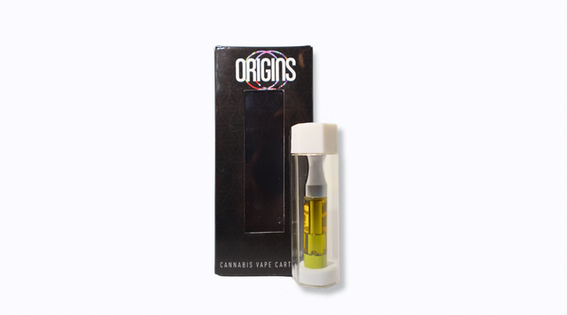 Gracias Madre Origins Gracias Madre Origins