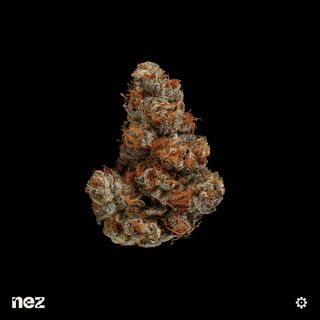 Swampwater Fumez NEZ