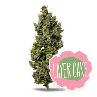 Layer Cake District Cannabis