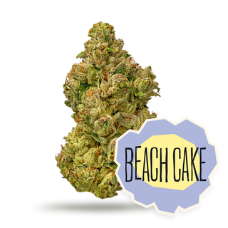 Beach Cake District Cannabis
