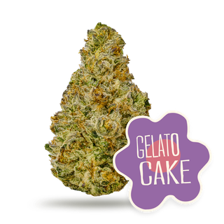 Gelato Cake District Cannabis