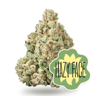 Hazy Face District Cannabis