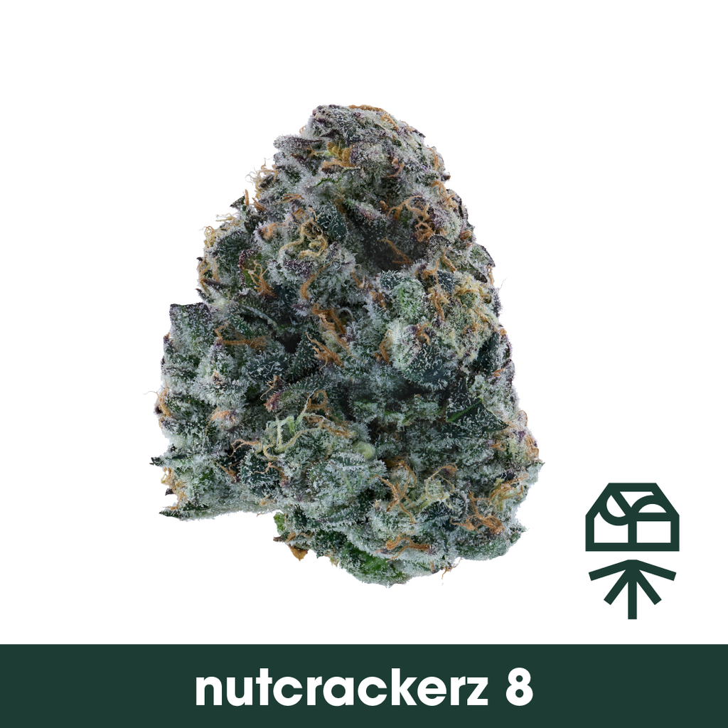 Nutcrackerz 8 1g Whole Flower | Curaleaf Largo, FL | Medical Cannabis