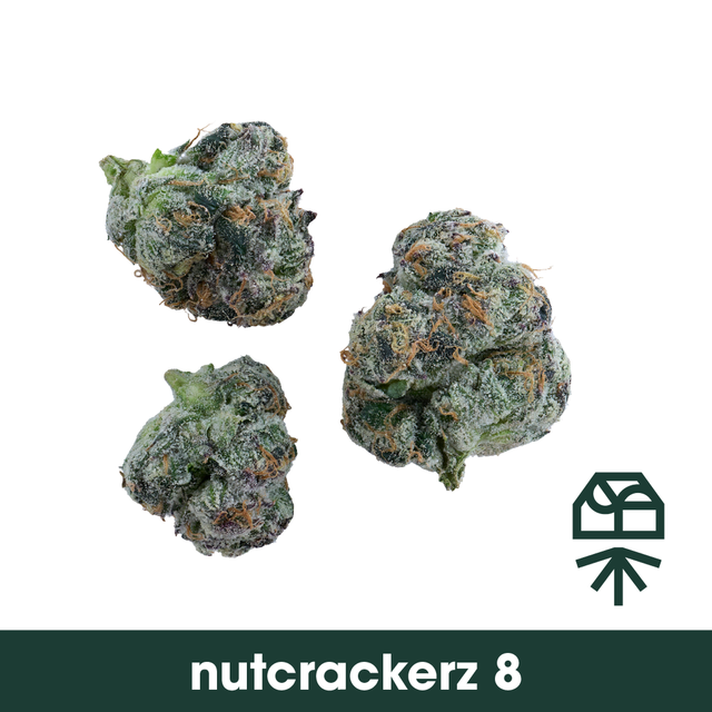 Nutcrackerz 8 Grassroots