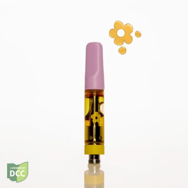 Dark Star Tangie Edie Parker