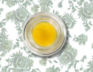 Motorbreath 15 Bullet Train Extracts