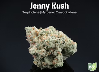 Cannabis Promo, Cannabis Sales, Cannabis Discounts, Cannabis on Sale, Touch Grass | 30% OFF 3.5g Flower 3