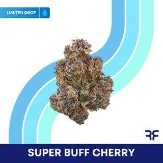 Super Buff Cherry Reef
