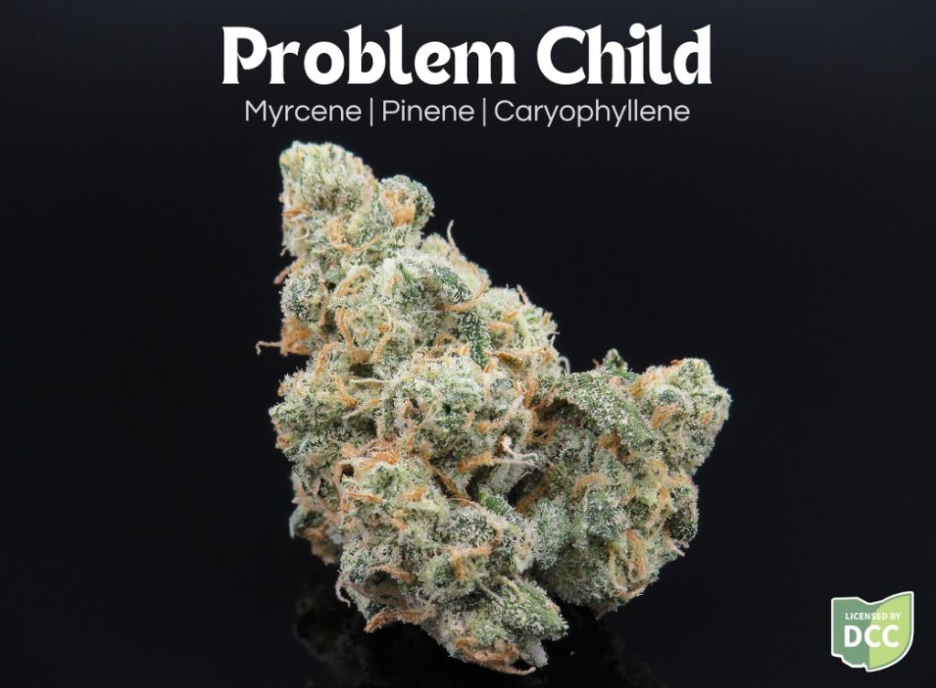 Problem Child, Farkas Farms