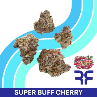 Super Buff Cherry Reef