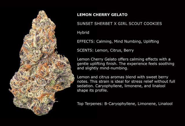Lemon Cherry Gelato Flora