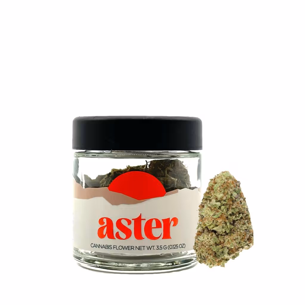 Lemon Vuitton Aster