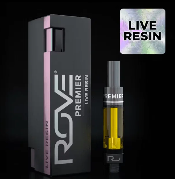 Cinderella 99 Rove