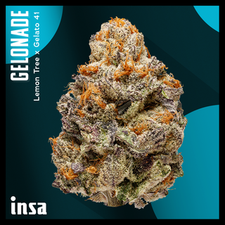 Cannabis Promo, Cannabis Sales, Cannabis Discounts, Cannabis on Sale, $120 for INSA 28g Flower! 2