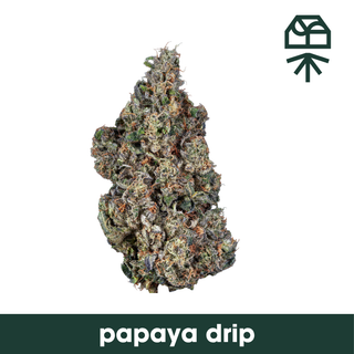 Papaya Drip Grassroots