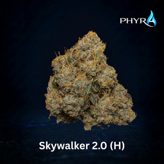 Skywalker Phyra