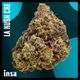 LA Kush Cke 2.0 INSA LA Kush Cke 2.0 INSA