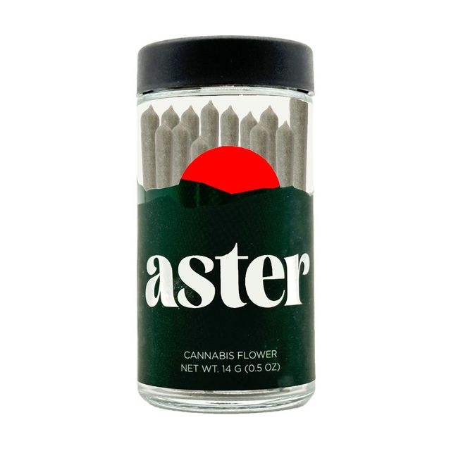 Candy Fumez Aster