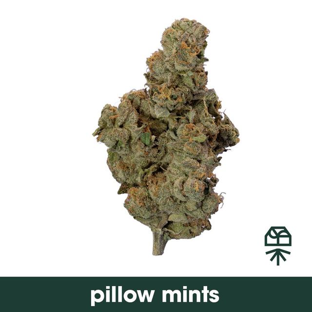 Pillow Mints Grassroots